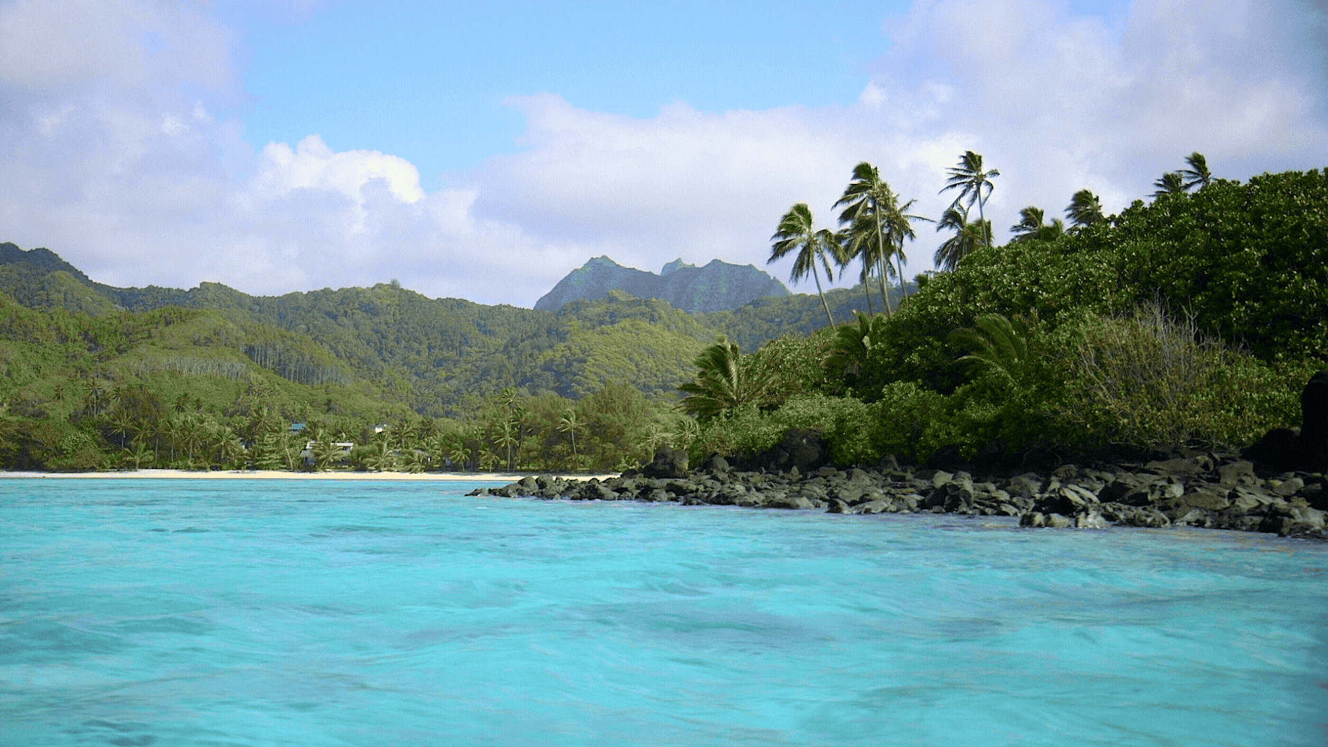 A rocky beach on a scenic tropical island in Fiji