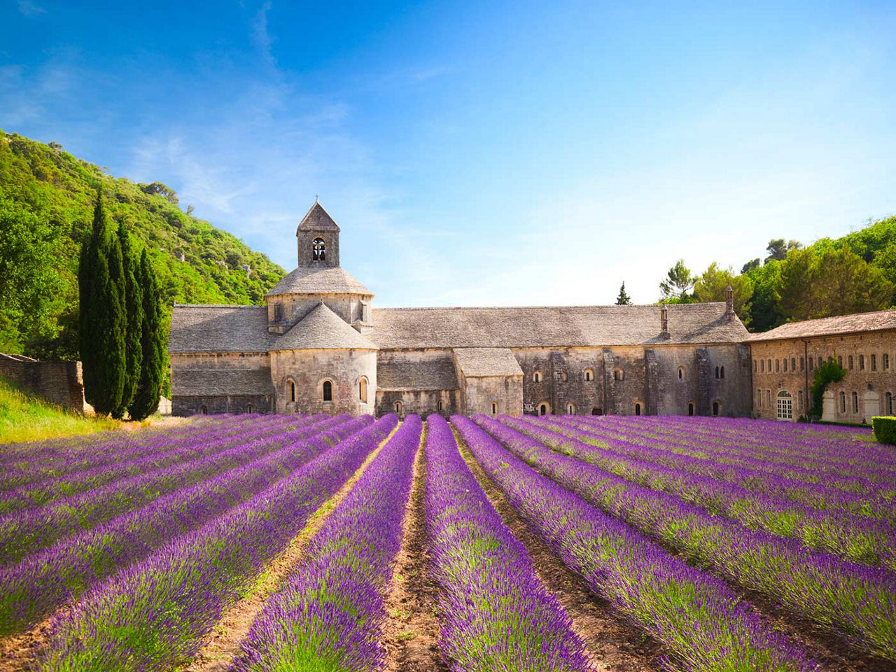 Senanque Abbey 