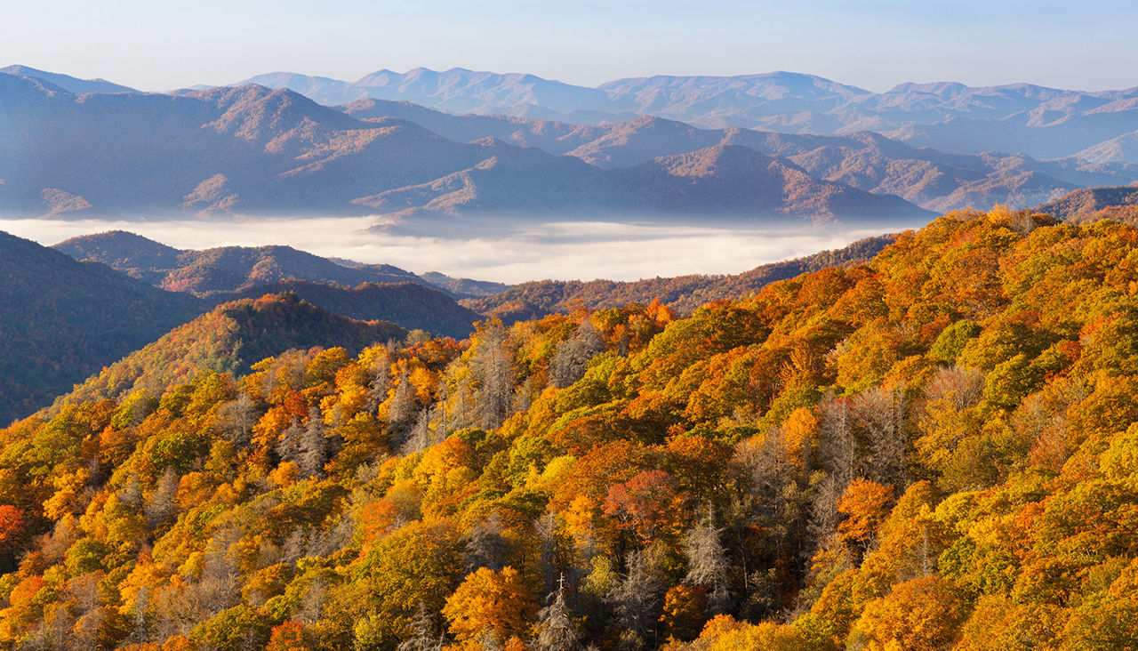 best-road-trips-north-carolina