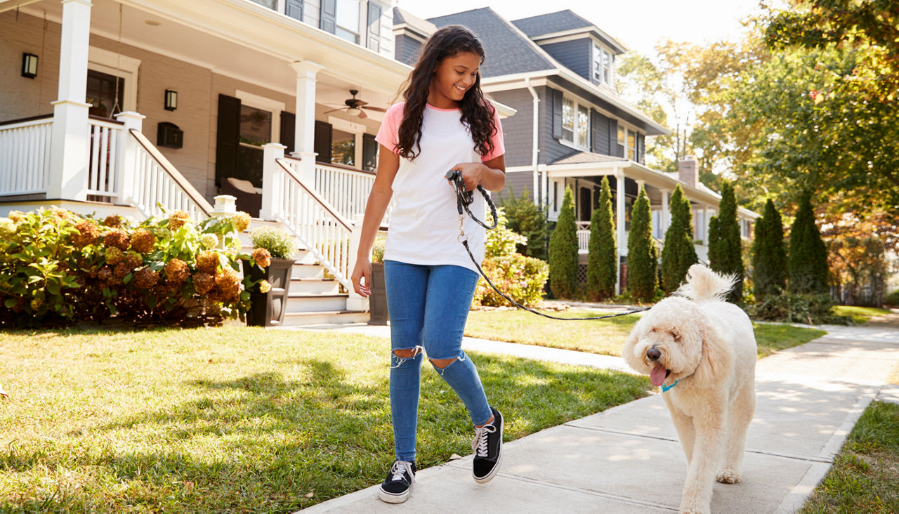 Girl walking dog along neighborhood sidewalk