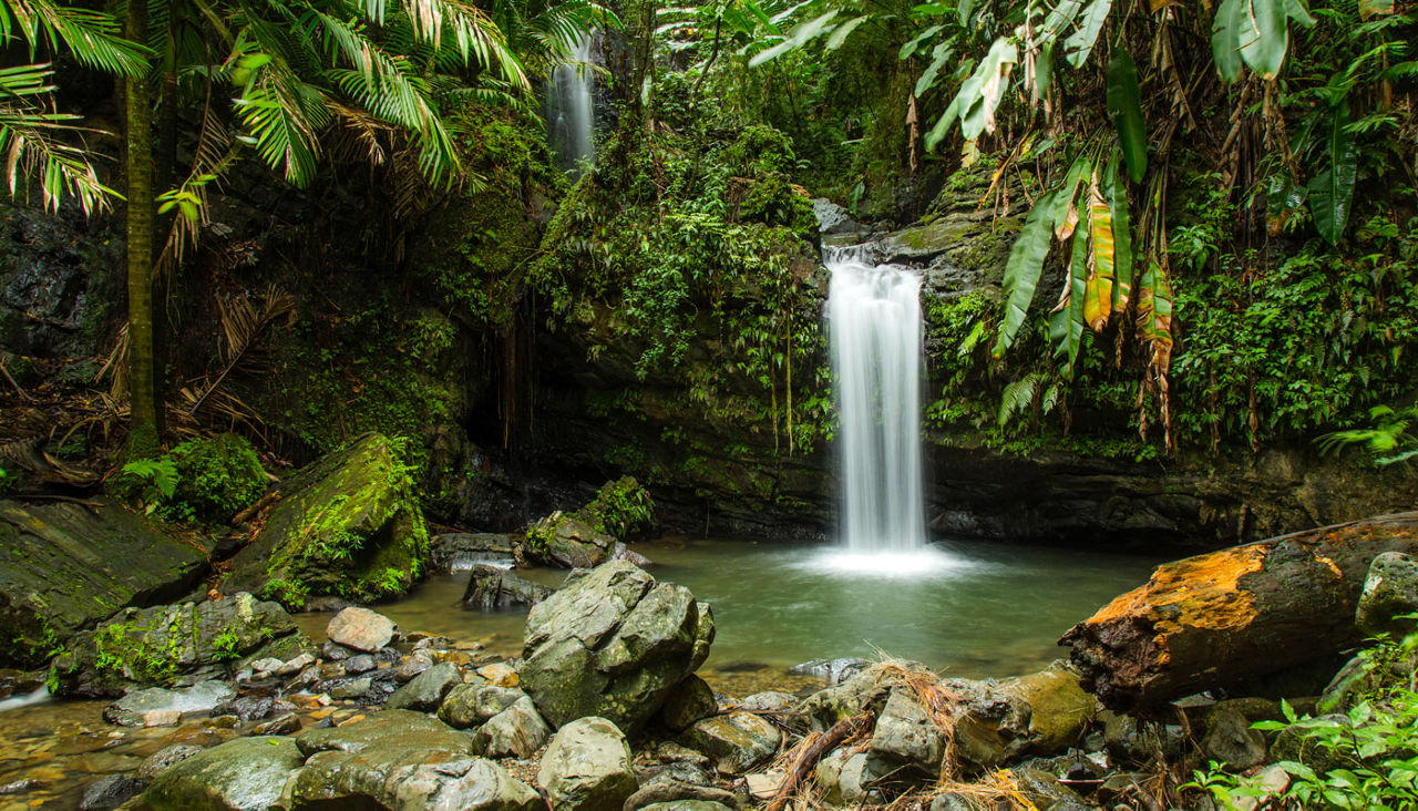 Juan Diego Falls, El Yunque, Puerto Rico