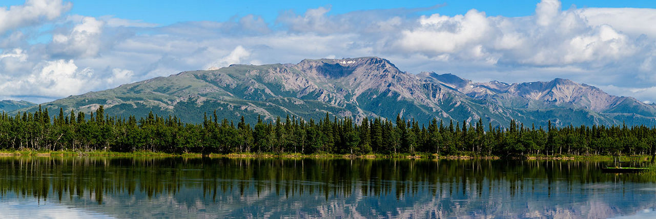 Alaska Denali Cruise