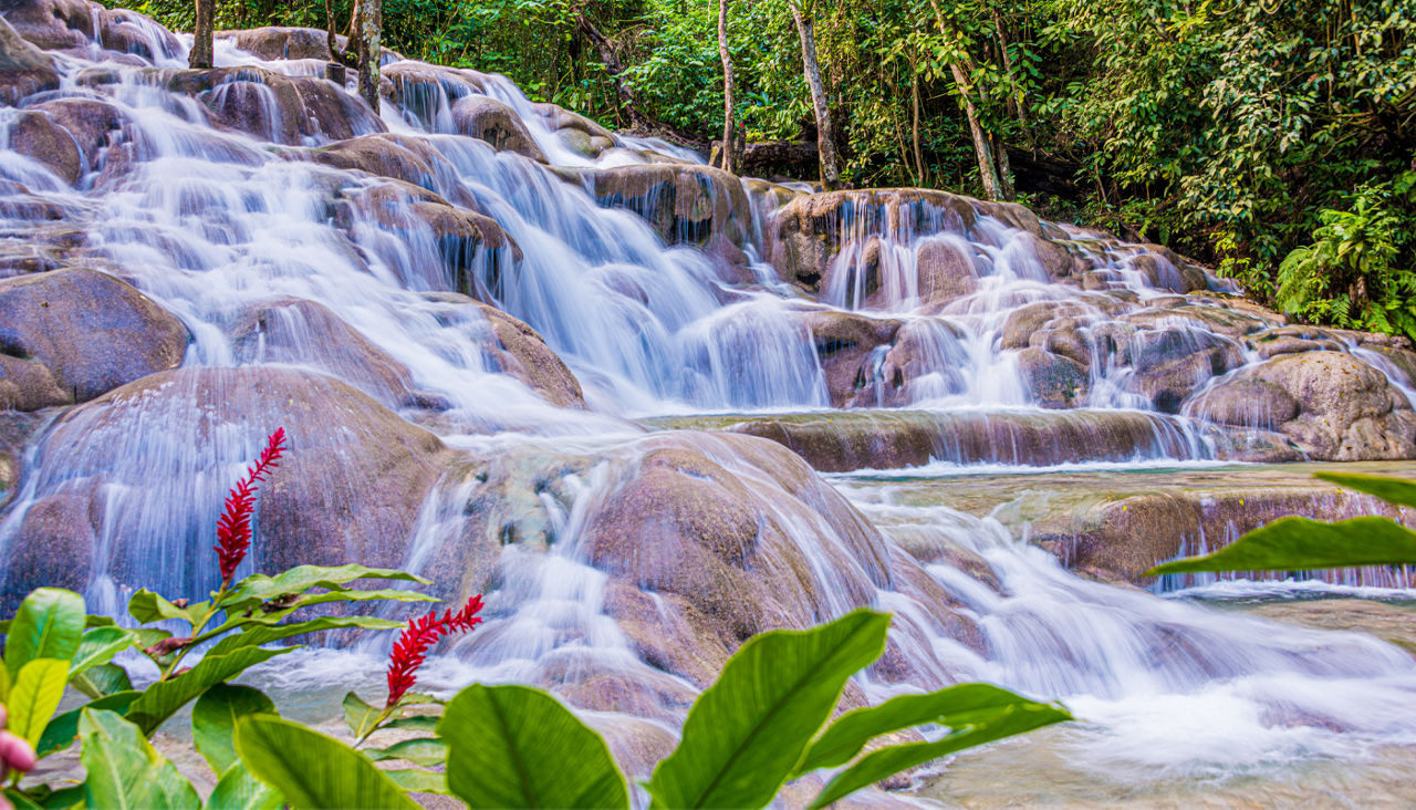 Water runs over limestone at the beautiful Dunn’s River Falls. 