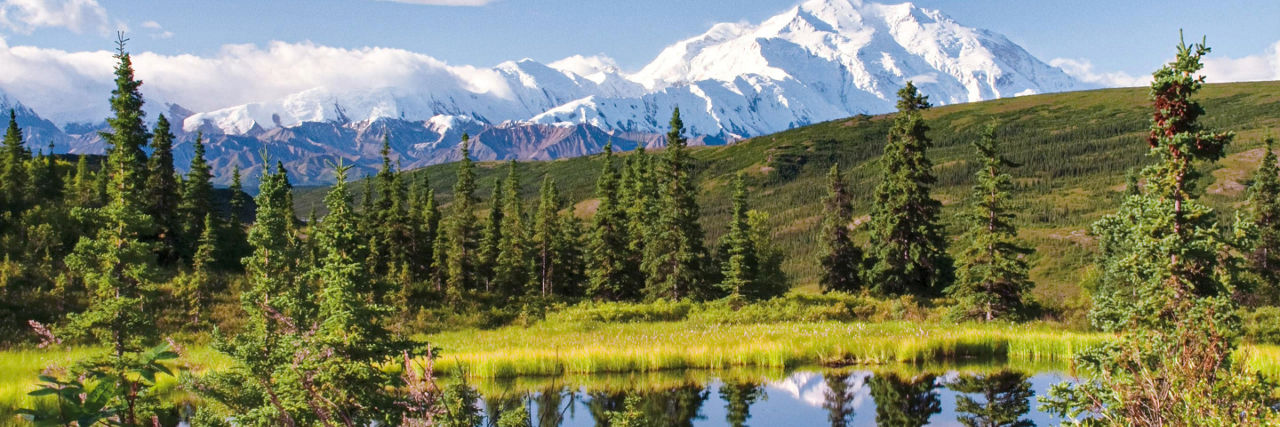 Denali National Park, Alaska