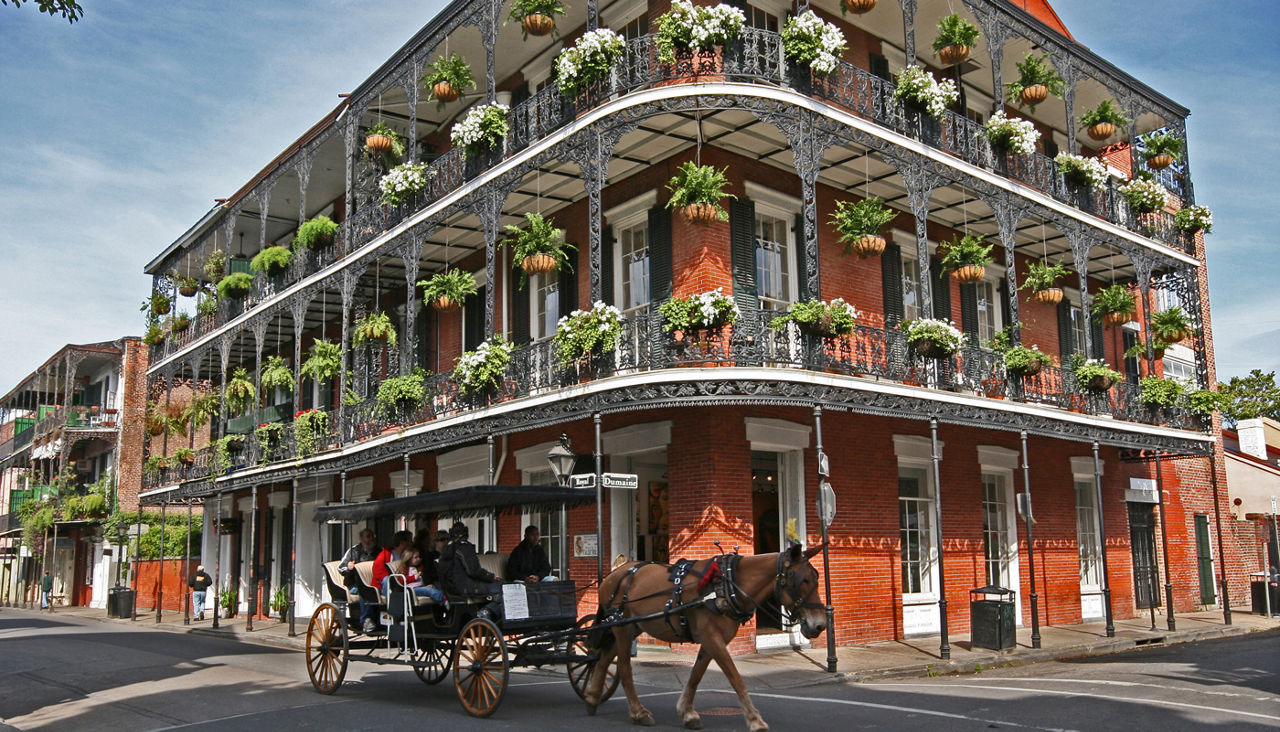Elegant horse-drawn carriage in French Quarter