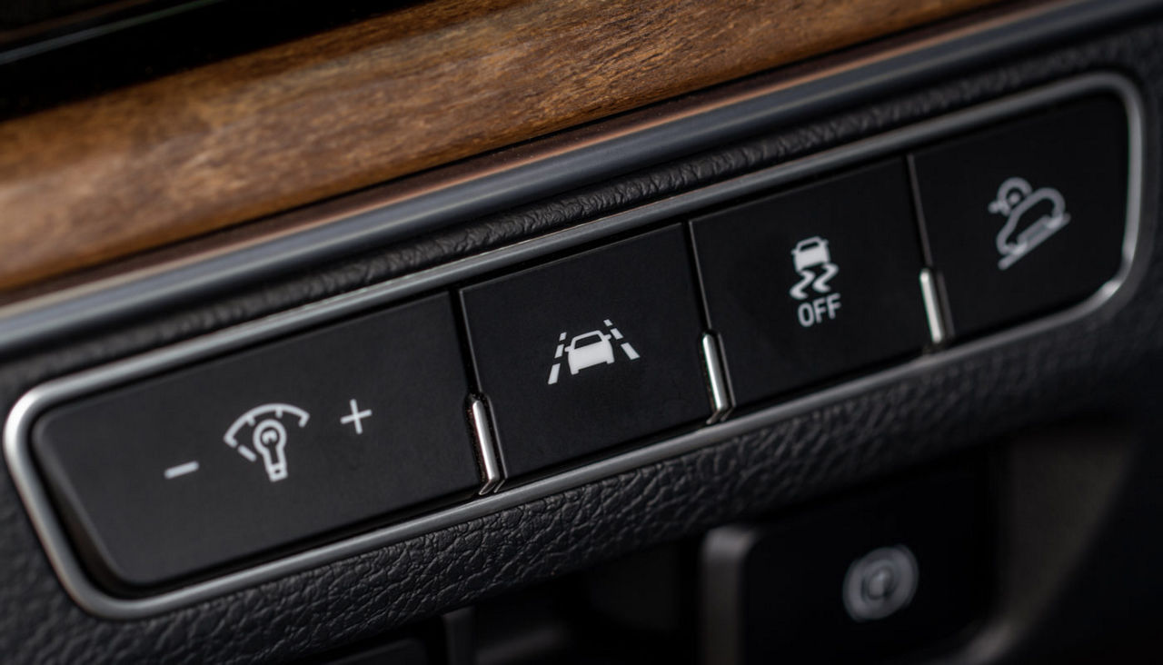Track assistant in a modern car. LDWS switch button. Lane Departure Warning System of a modern car.