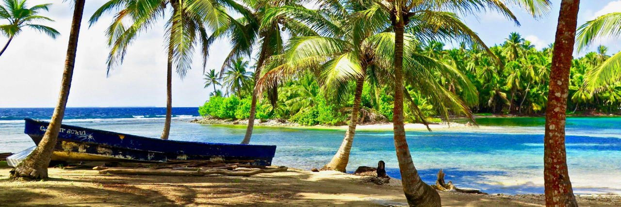 sailboat docked on a beach surrounded by palm trees