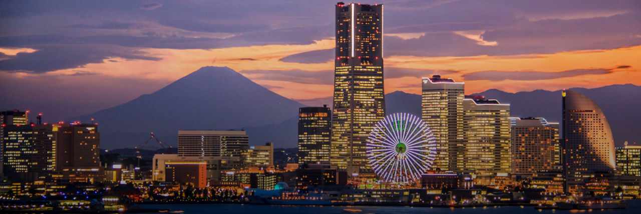 Tokyo city skyline at dusk