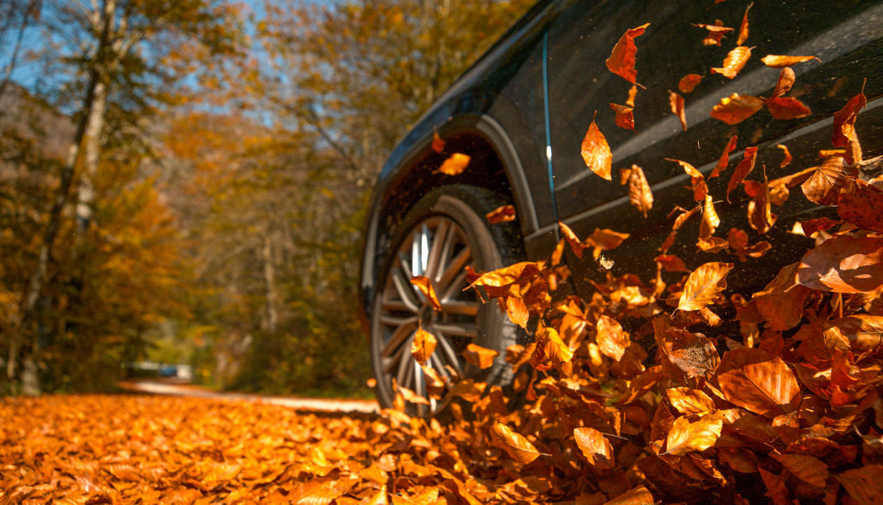 vehicle drives along a road full of brown fallen leaves.