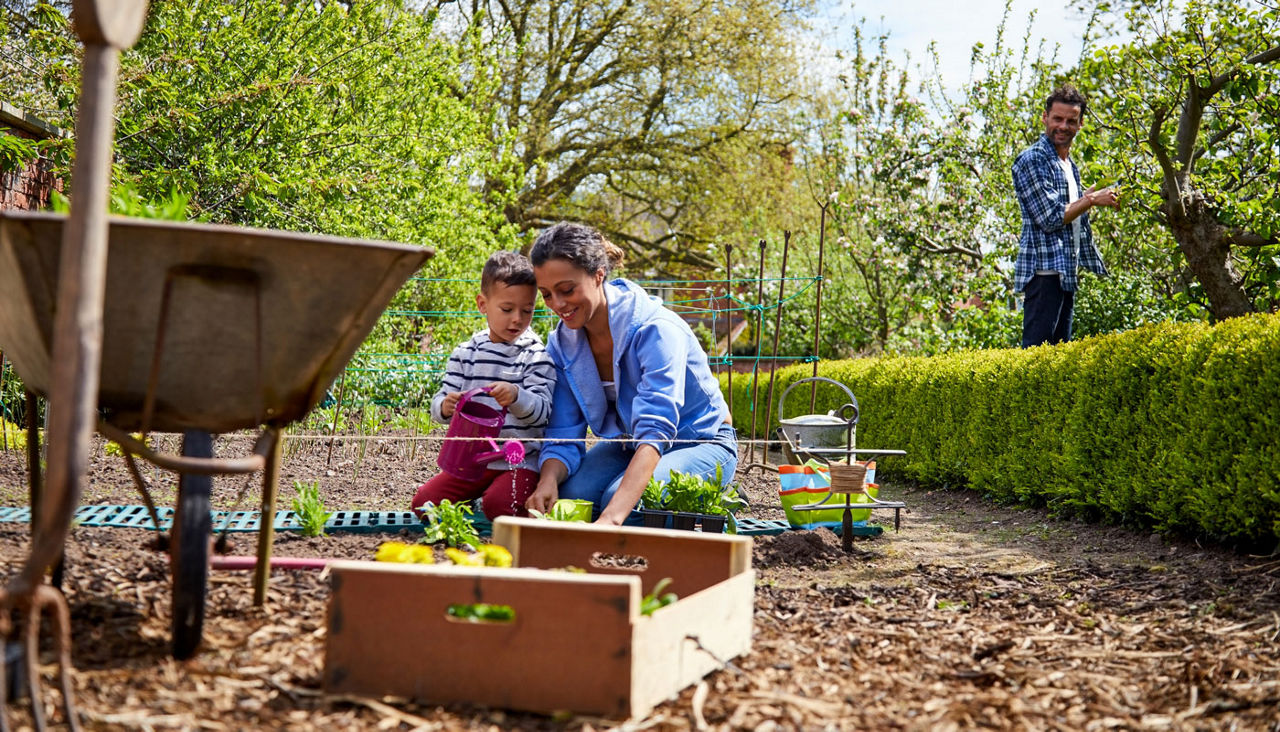 Family gardening and pruning at home on a homestead