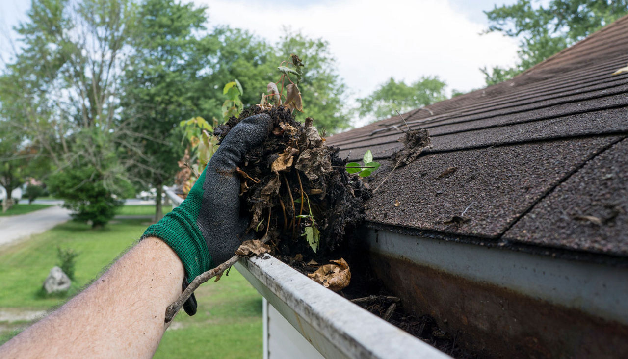 Gloved hand cleaning gutters filled with leaves and sticks