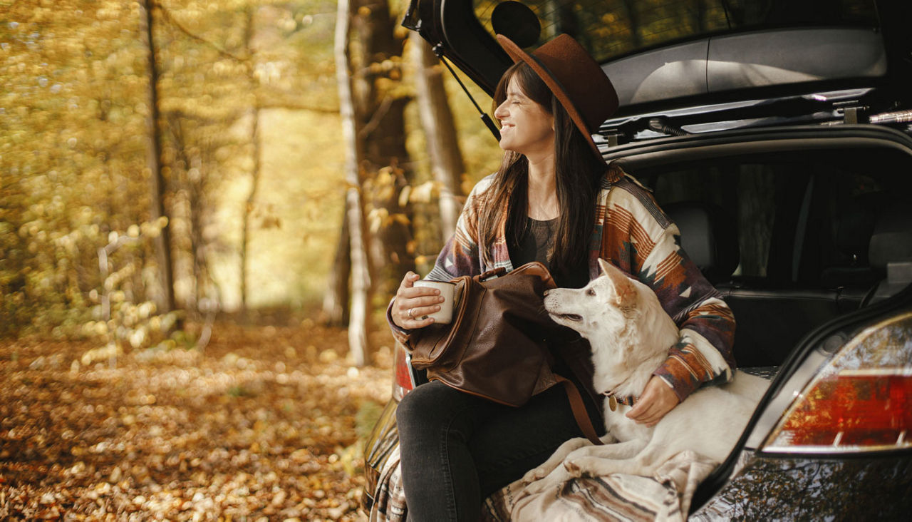 Stylish woman traveller with backpack sitting with cute dog in car trunk in sunny autumn woods