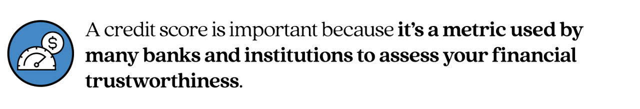 Pull quote stating A credit score is important because it’s a metric used by many banks and institutions to assess your financial trustworthiness