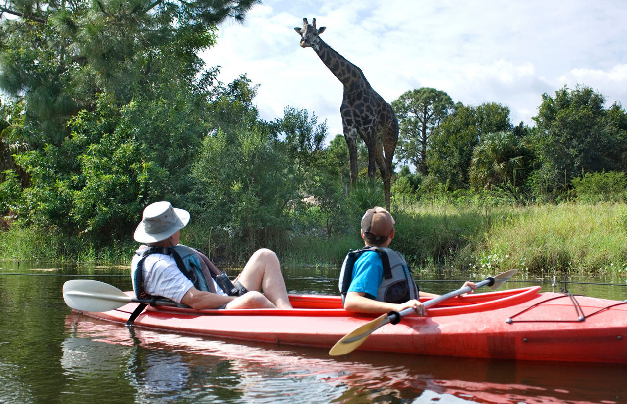 Grandfather and grandson admire a giraffe at the edge of the Nyami Riveron the Expedition African Kayaking Tour at the Brevard Zoo