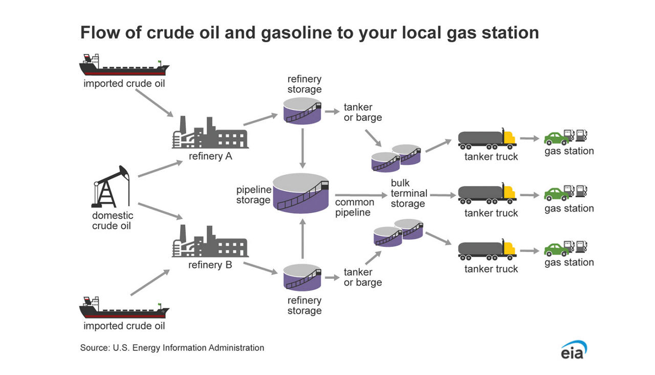 Infographic from EIA of how crude oil and gas get to your local gas station