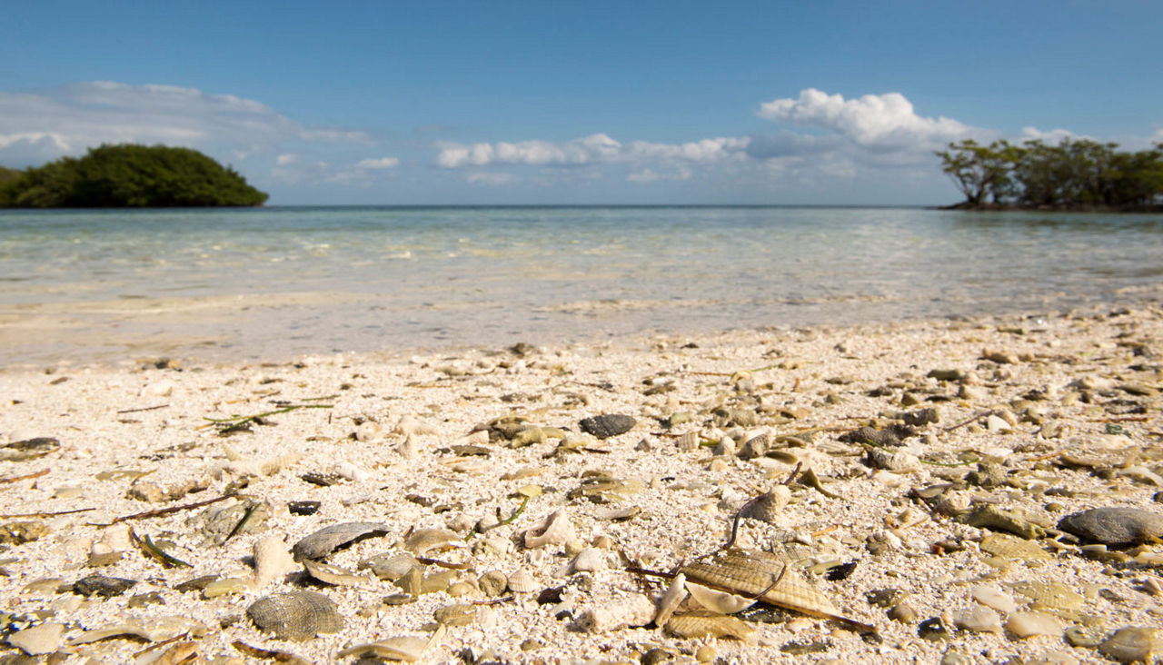 Boca Chita, Biscayne National Park Florida