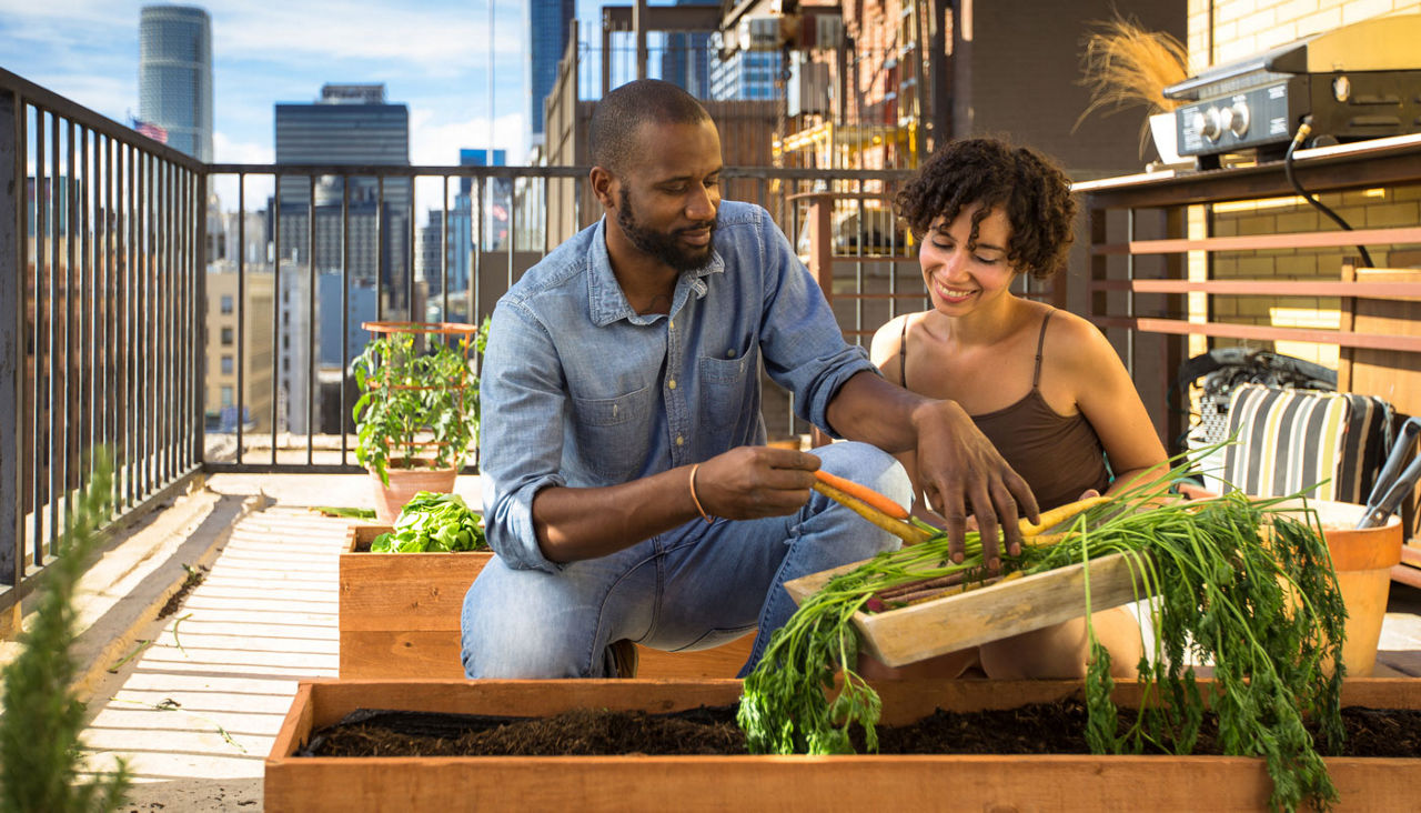 Couple gardening on their high rise patio in the city