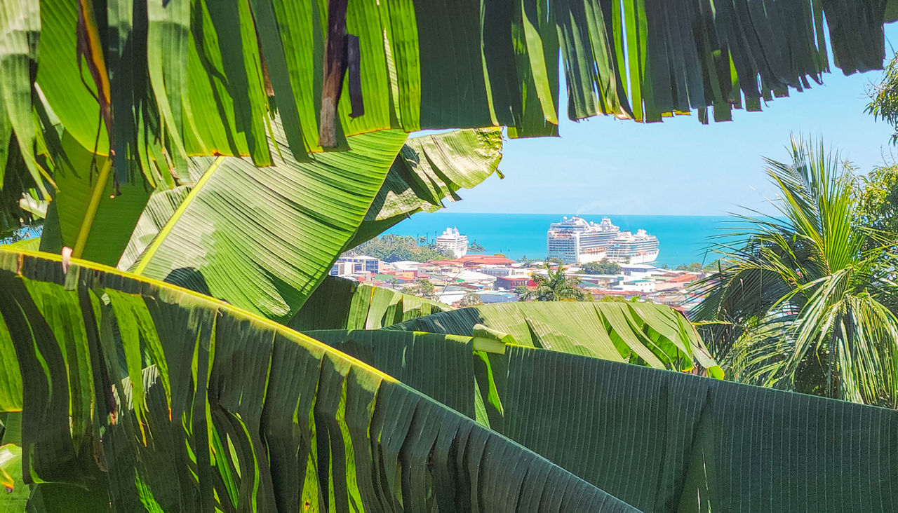 Tropical View of a Caribbean Port with Cruise Ships