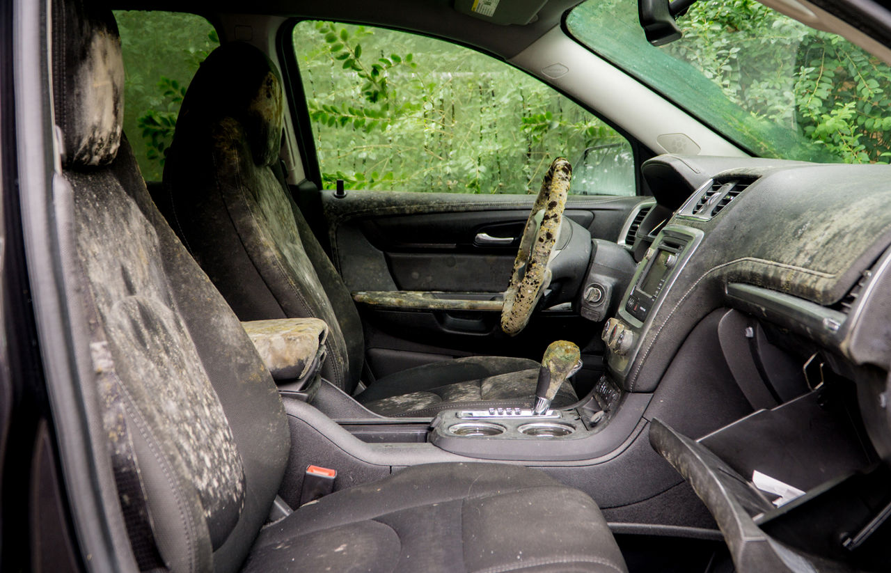 Mold and dirt inside a car that was flooded by a hurricane