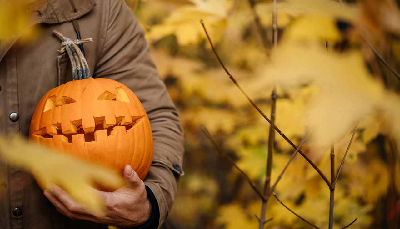 Pumpkin head with eyes and teeth for halloween in the hands of a man in the autumn forest close-up.