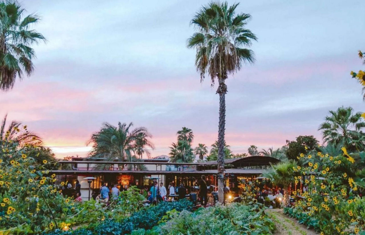 Farm to Table experience in Los Cabos