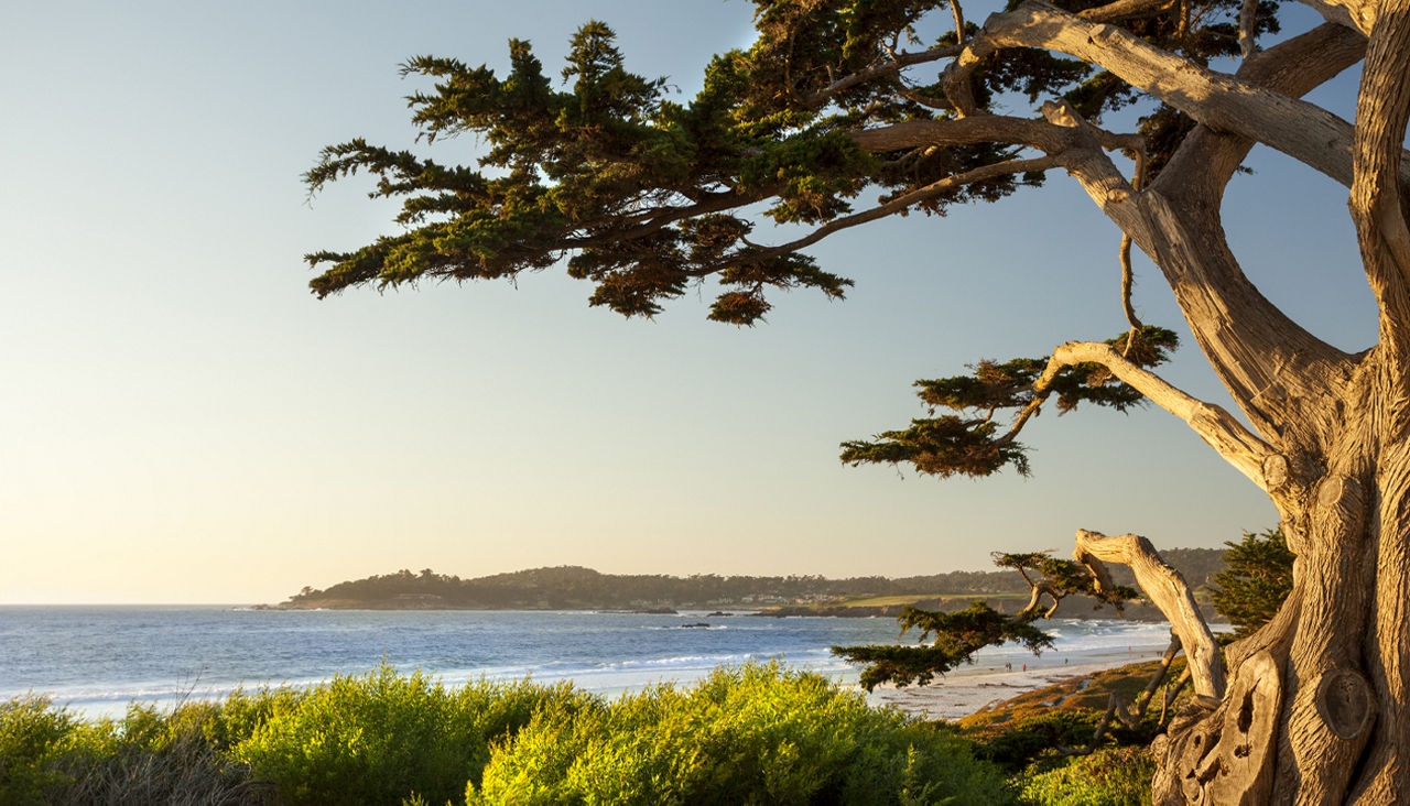 View of Pacific Ocean from the coastline in Carmel