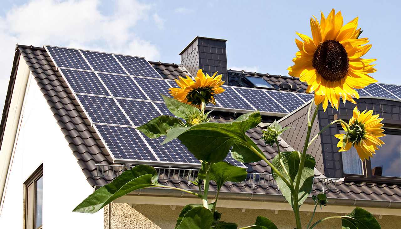 Solar panels at a roof with sun flowers