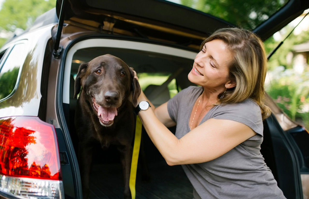 Woman with Labrador Retriever on leash in car trunk