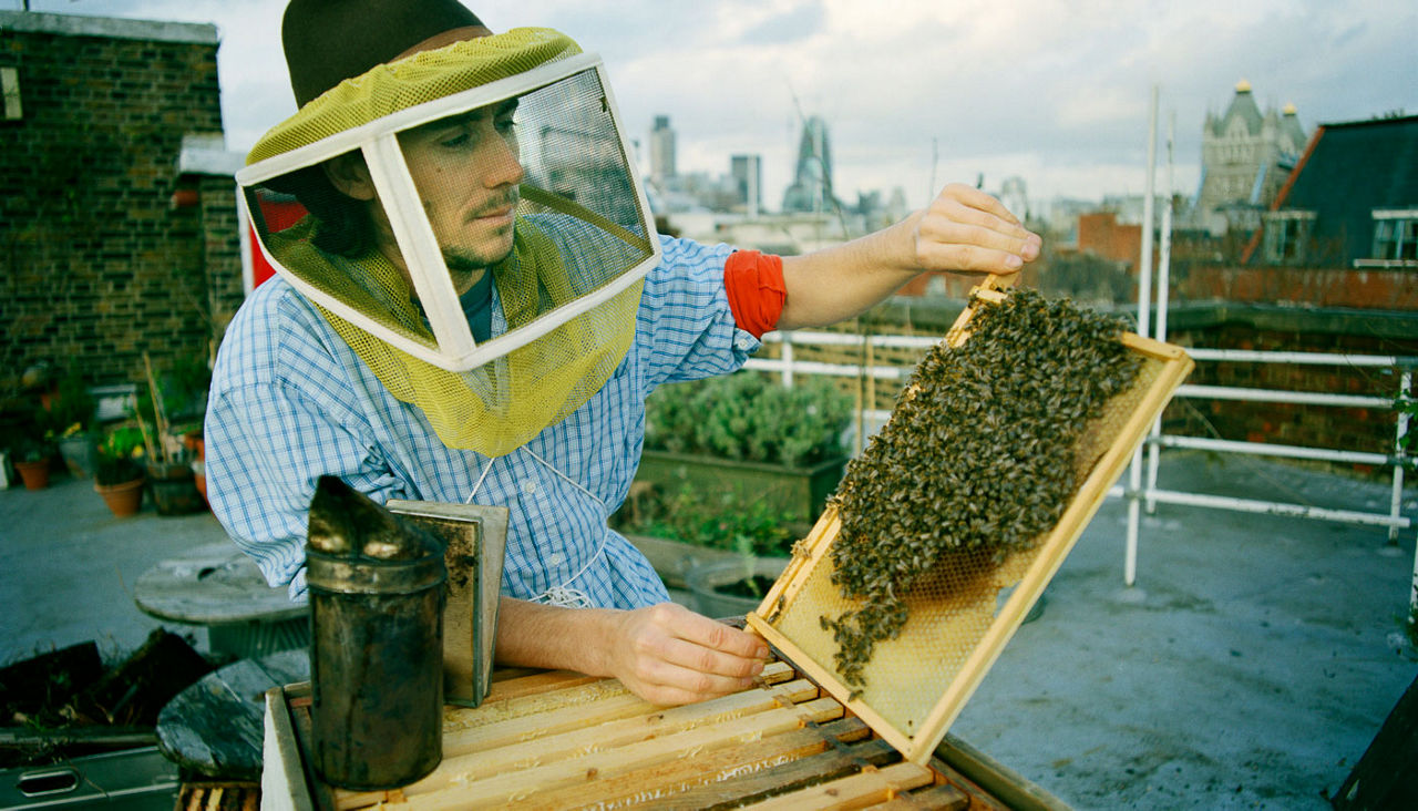 Man raising bees in an urban setting