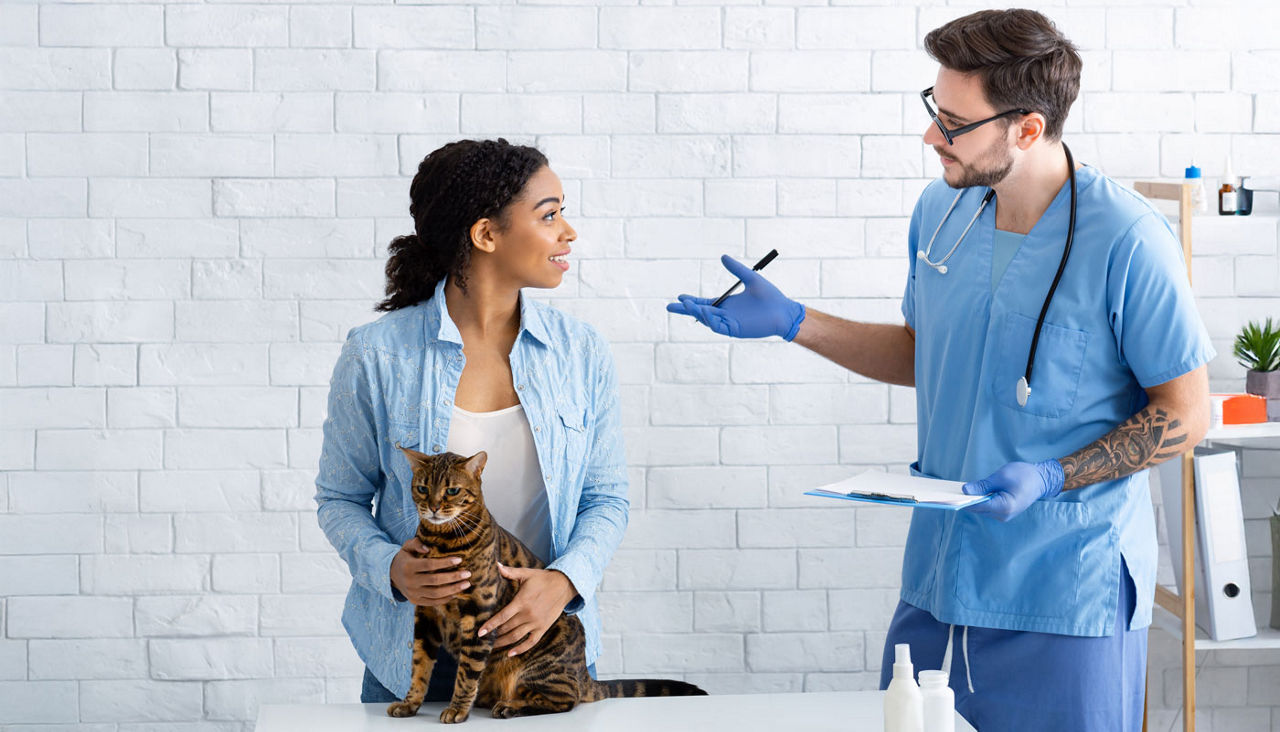 Cat owner with pet communicating to male veterinarian at medical office