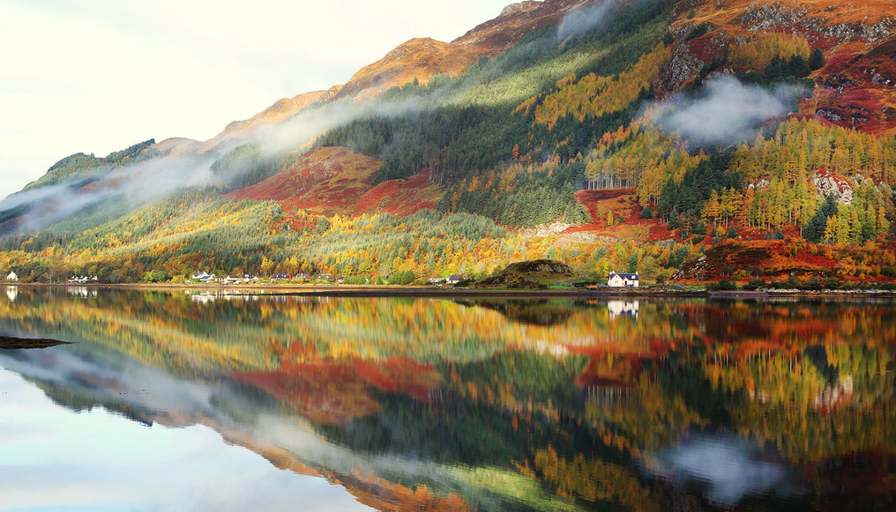 Autumn colours in Highlands, Scotland, Europe