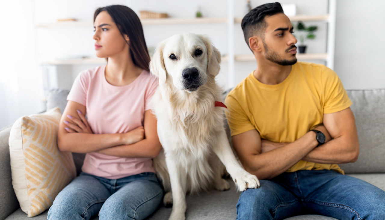 Upset young couple sitting on sofa, facing away from each other, cute dog sitting on couch between them