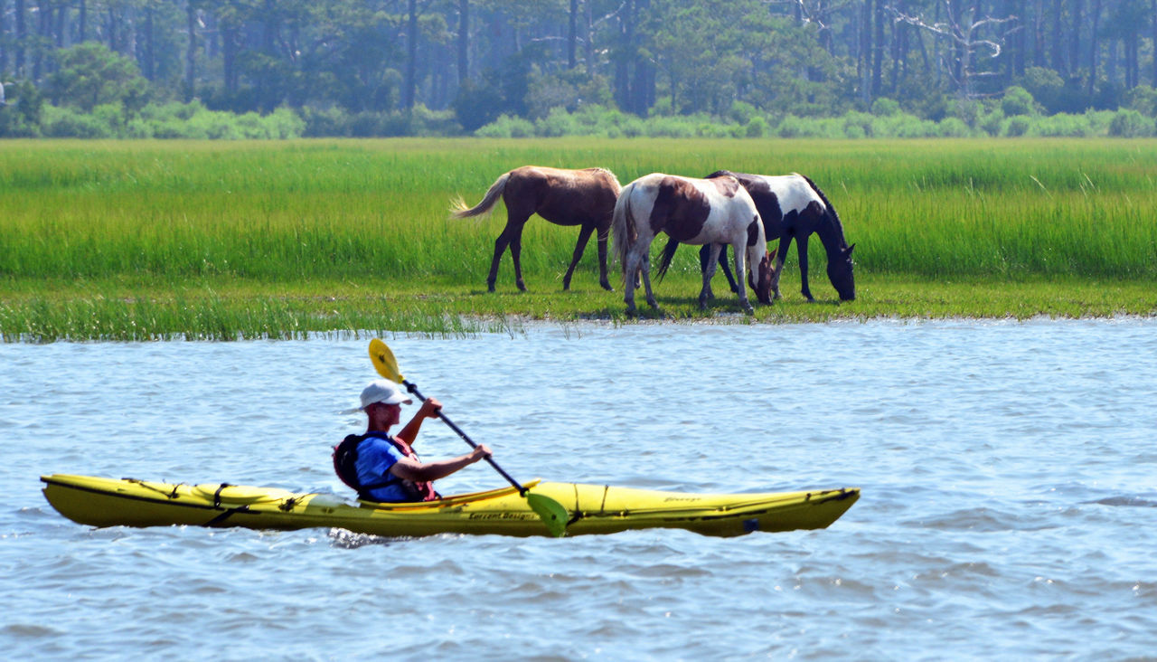 Kayaker off Chincoteague Island 