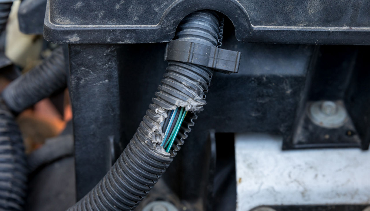 Engine hose with damage from rodent