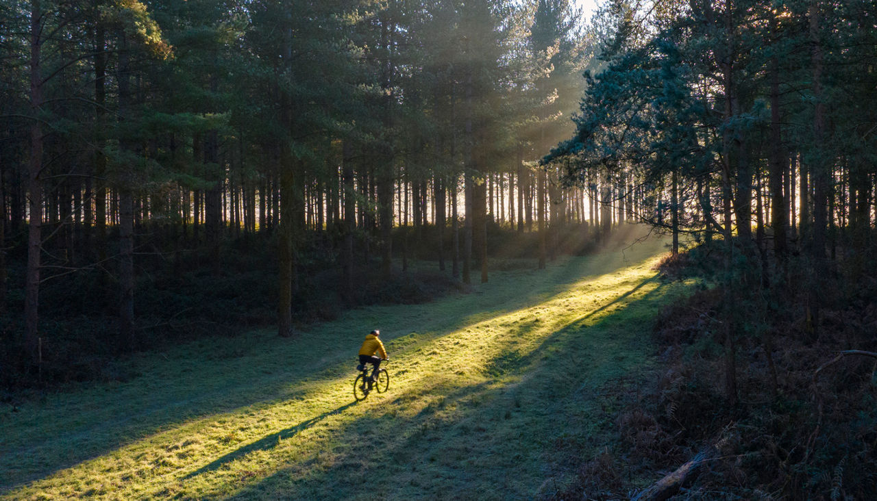 bike rider headed towards sunshine path on a grassy hill 