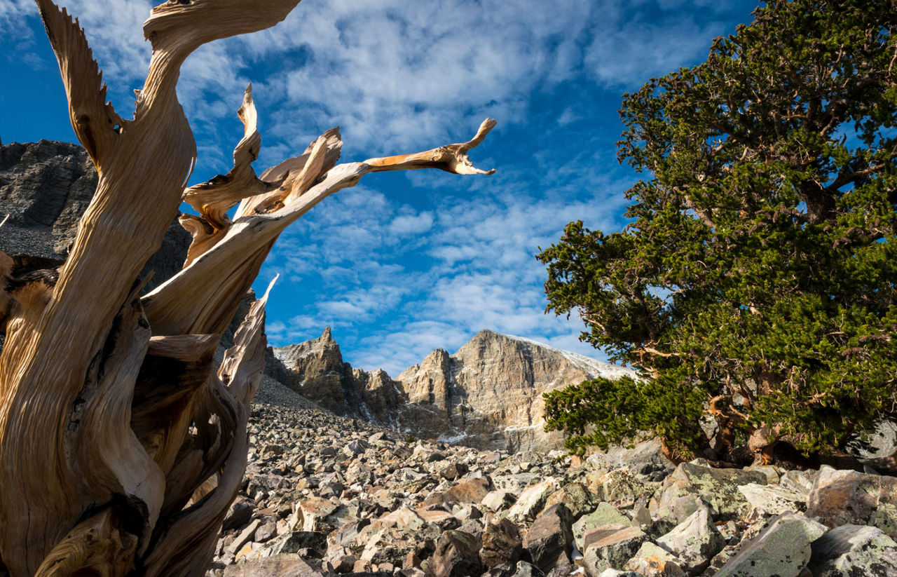 Wheeler Peak in Great Basin National Park, Nevada