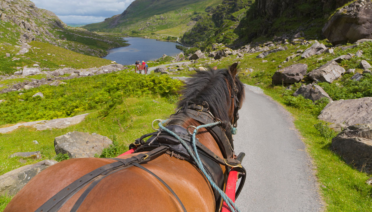 Horse and Jaunting Car, Gap of Dunloe, County Kerry, Ireland