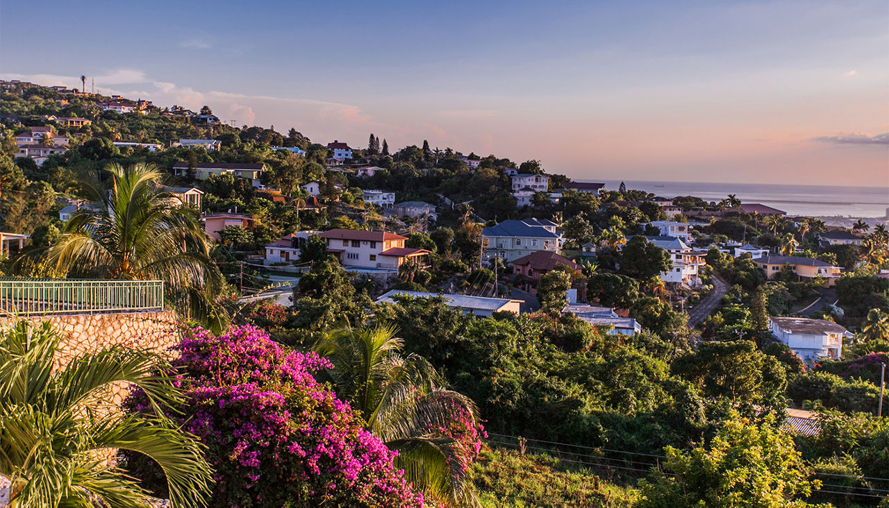 Beautiful coastal houses surrounded by trees with the ocean in the distance. 