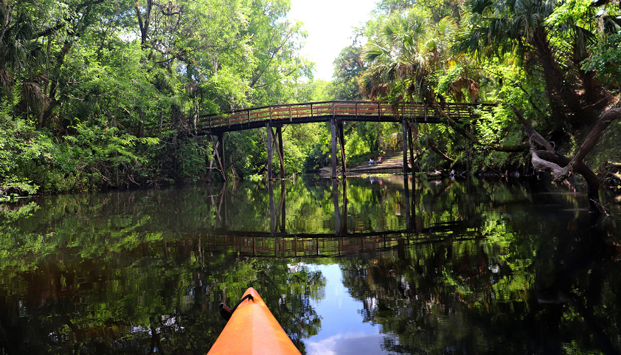 Various photos taken on the Hillsborough River, Florida.