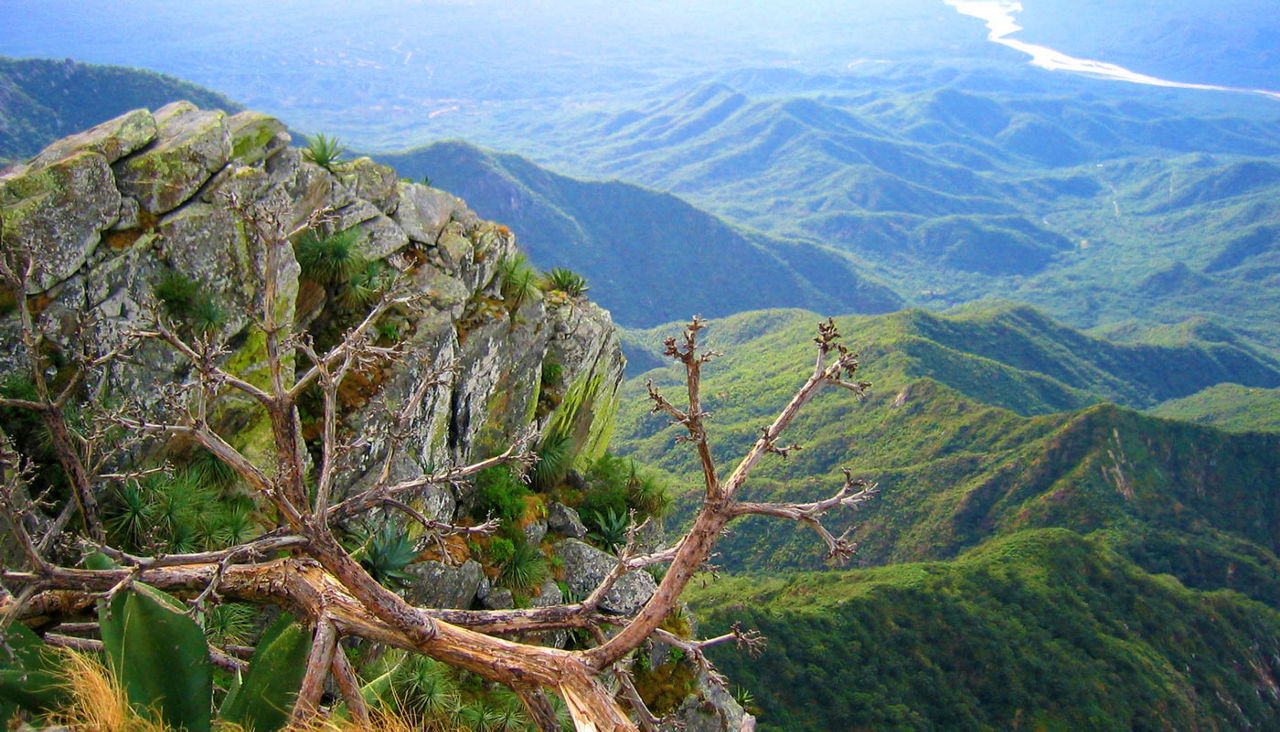 Sierra de la Laguna in Los Cabos