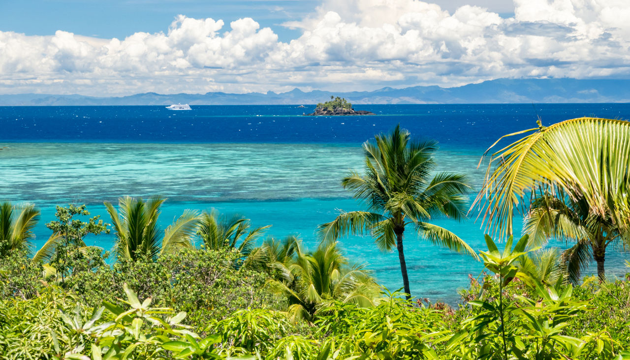  tropical island with lush green foliage and coconut trees overlooks the expansive ocean under a bright, clear sky with a cruise ship in the distance