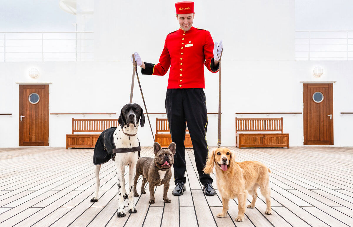 Cunard steward with dogs on ship from Kennel