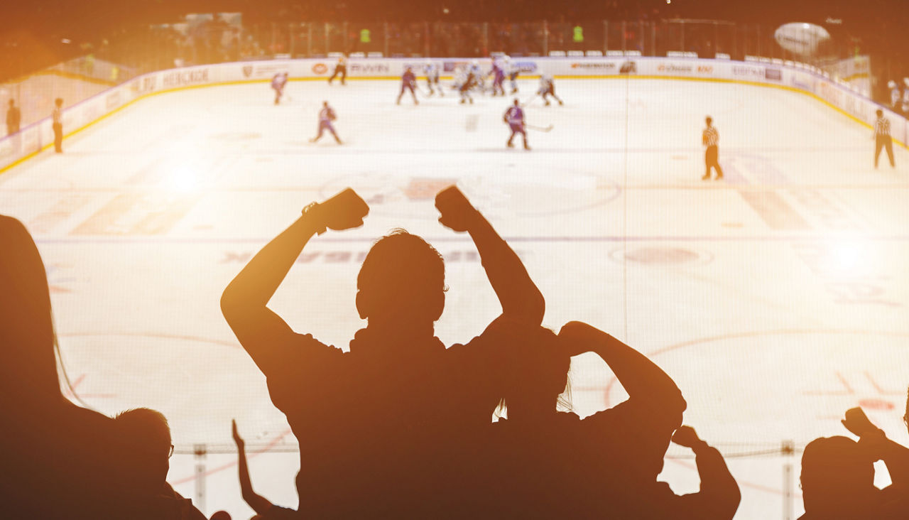 fans on the hockey match