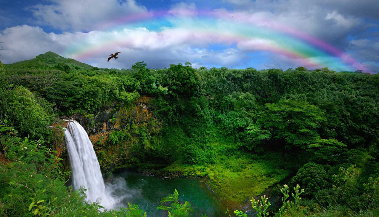 Overhead view of a waterfall in a lush rainforest with a rainbow overhead in Hawaii