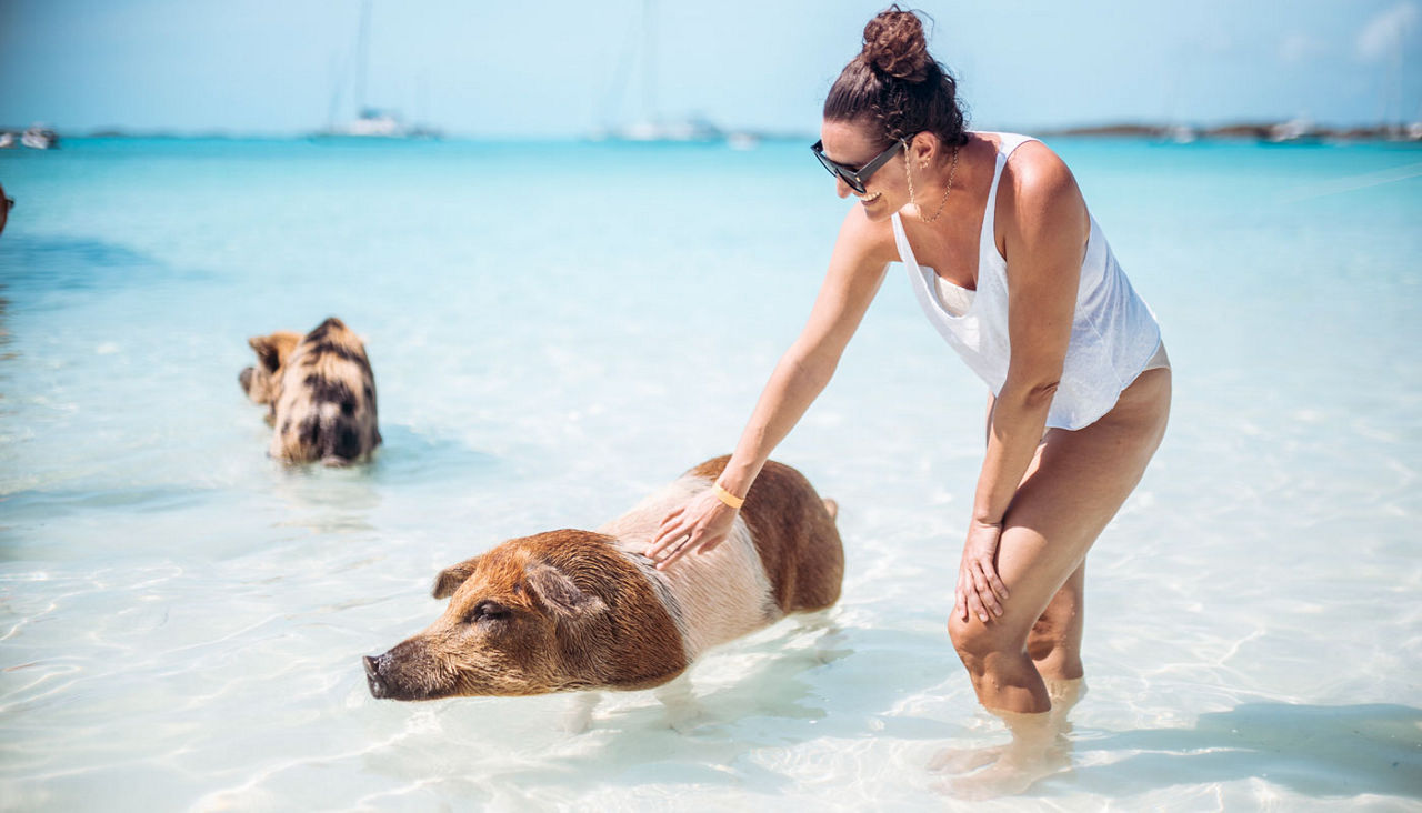 Woman petting pig at Pig Island, famous for swimming pigs