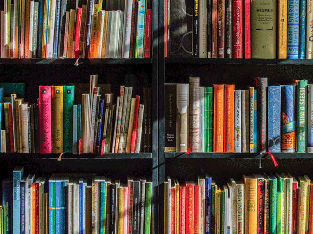 Education & Literacy