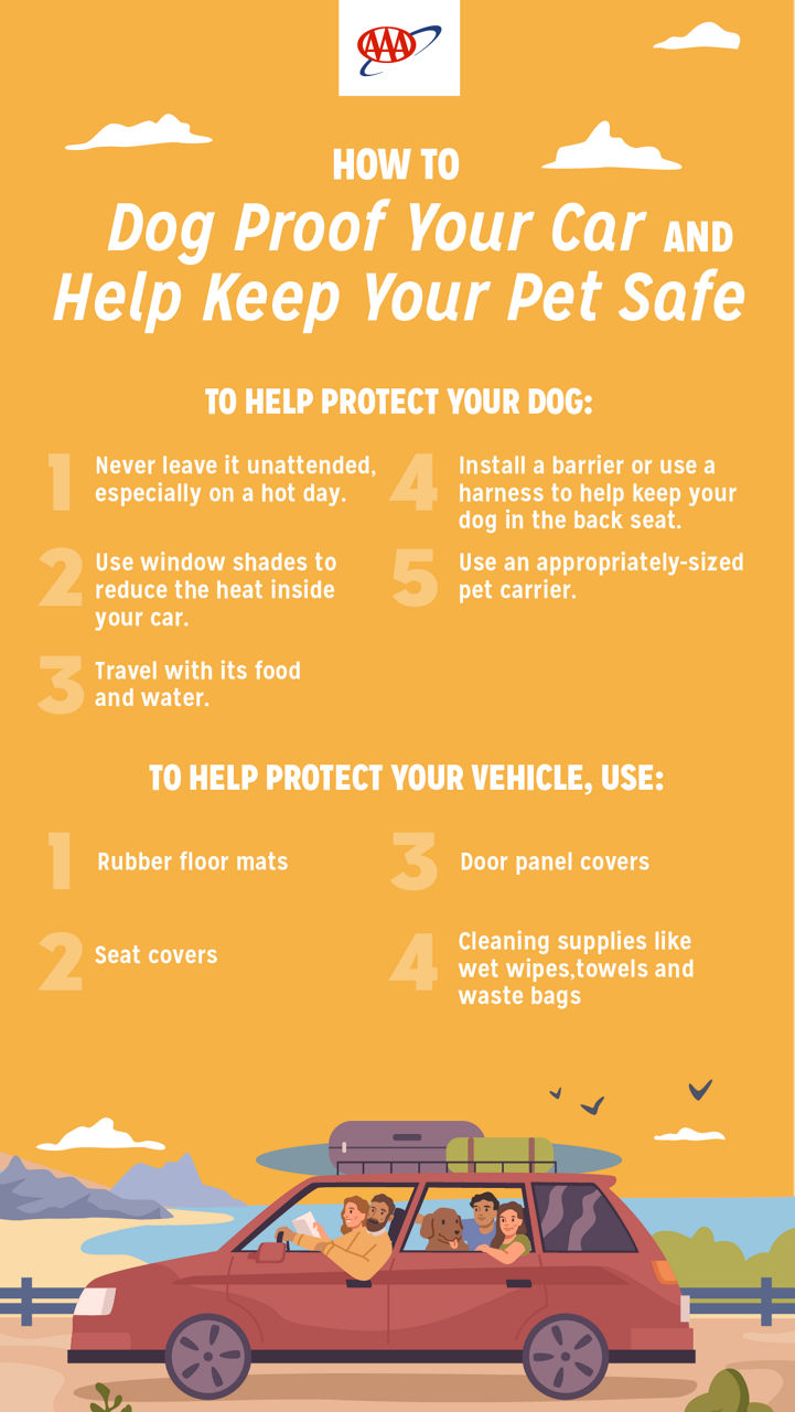 Infographic on how to dog proof your car.