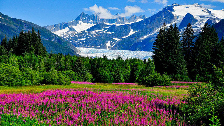 Alaska scenery.