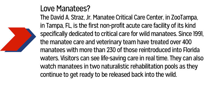 Special Call Out about Manatees at Zoo Tampa in Tampa, FL