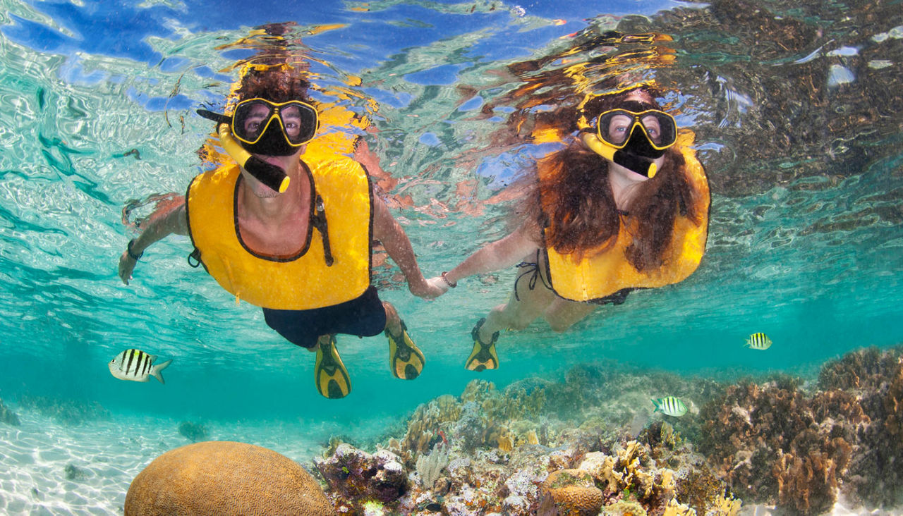 Young couple holding hands and snorkeling in tranquil water in the Caribbean